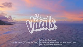 The Vitals 808 - Kali Ana Au (Waiting In Vain) [Official Lyric Video]
