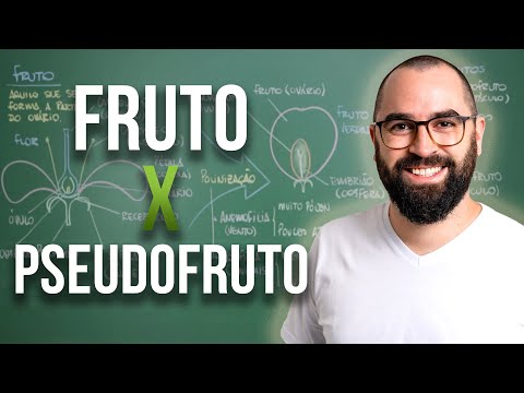 Fruto x Pseudofruto - Apêndice 1 - Módulo 5: Botânica