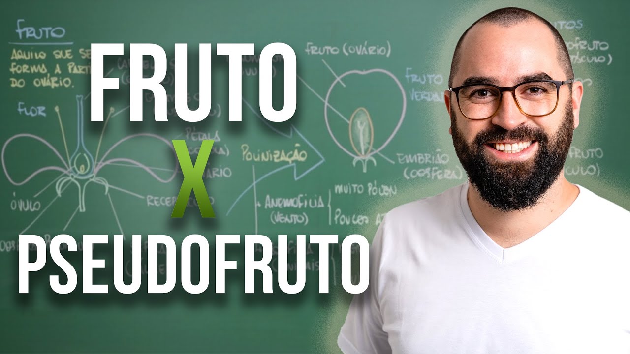 Fruto x Pseudofruto - Apêndice 1 - Módulo 5: Botânica