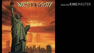 Meshuggah - Paralyzing Ignorance