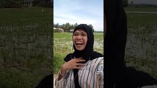 Download lagu ini pesan buat kalian kalo lagi disawah serepet mp3 Download lagu ini pesan buat kalian kalo lagi disawah serepet mp3