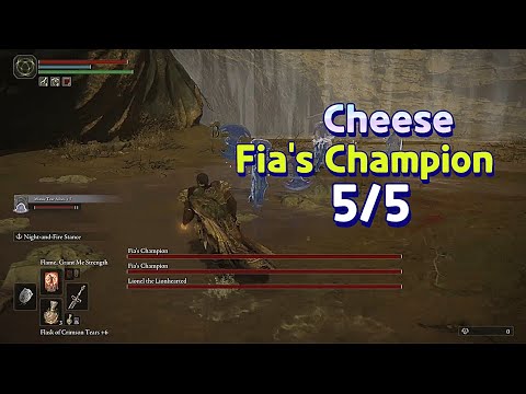 Cheese Fia's Champion 5/5 All Fia's Champion - Elden Ring