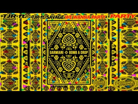 TJR vs Garmiani feat  Savage - We Wanna Party vs  Bomb A Drop (W W Mashup)