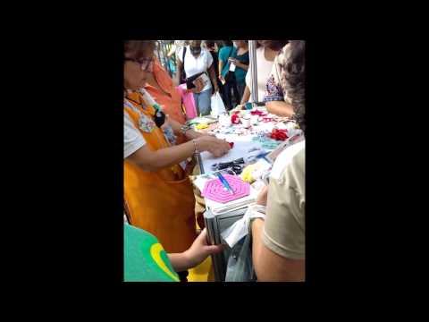 Nancy Mincauscaste Mendes Demonstração We Care About Mega 2016