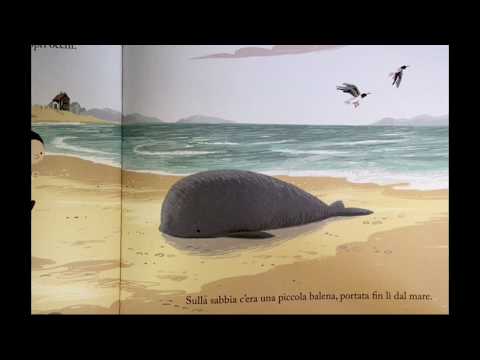 La balena della tempesta