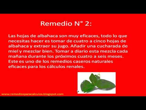Como Eliminar Piedras En el Riñon - Plantas Para Los Calculos Renales