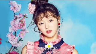 OH MY GIRL 「In My Dreams」 日本語字幕