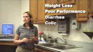 How to Test a Horse for Sand: Wisconsin Equine Clinic &amp; Hospital