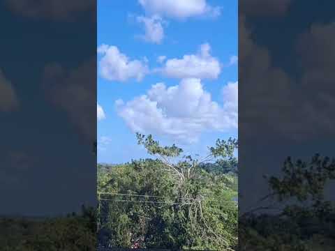 ​🌿 Río San Juan: El Corazón Esmeralda de Nicaragua 🇳🇮​ 🦜🐒​✨ #nicaragua #travel #turismo