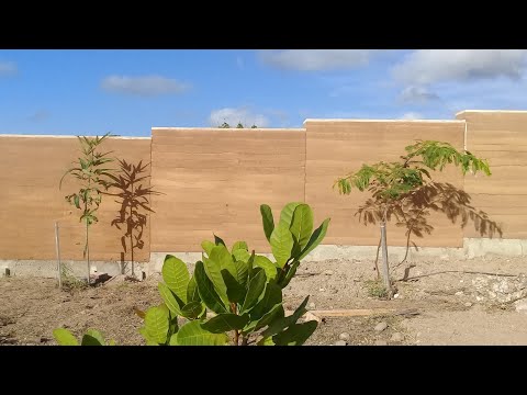 Rammed Earth Fence | Brazil    #architecture #construction #diy #fence #landscapedesign #construção