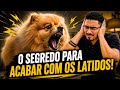 HOW TO MAKE YOUR DOG STOP BARKING 3 SIMPLE STEPS