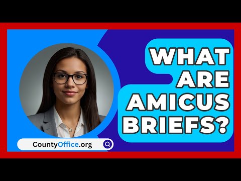 What Are Amicus Briefs? - CountyOffice.org