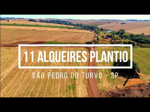 Sítio 11 alqueires de plantio em São Pedro do Turvo - SP