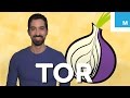 What is Tor and Should You Use It? | Mashable Explains