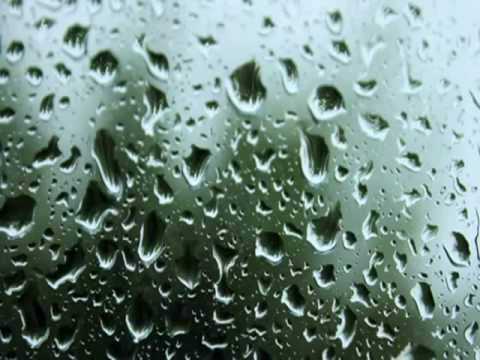 Laat Het Los (Live) - Van Dik Hout