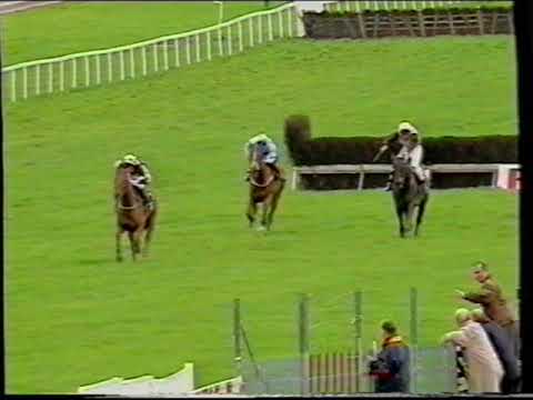 2001 - Fairyhouse - EBF Beginners' Chase - Moscow Flyer's First Chase