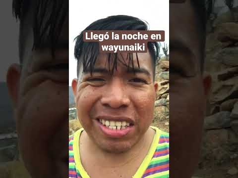 Cómo hablar en wayunaiki