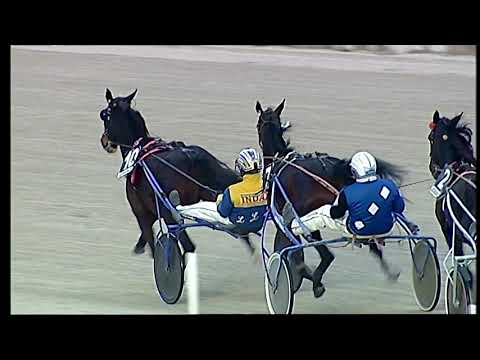 Trotto 05/01/2021 - 6ª corsa