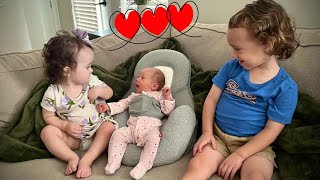 Our Newest Family Member!
