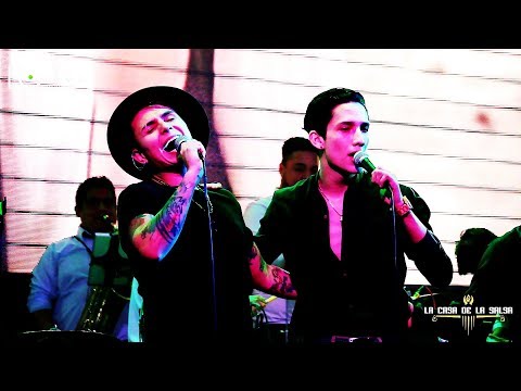 En Peligro de Extinción | Bembé feat Farik Grippa (Lanzamiento Oficial) La Casa de la Salsa 2019