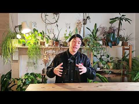 Part 3 - Jazz & Lindy Hop Training - Lindy Hop & Airsteps in more detail