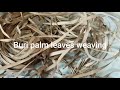 Buri Palm Leaves Weaving Amd Crafting