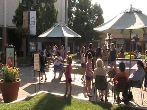 Pickwick Players - Seussical Jr.  -  pickwickplayers.net