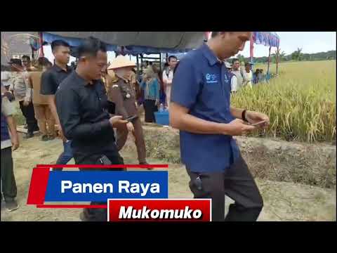 Panen Raya Mukomuko