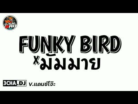 #กำลังฮิิตในTikTok​ ( FUNKY​ BIRD​ x มัมมาย)​ V.แดนซ์​โ​จ๊ะ​ | Djbao​ Remix​