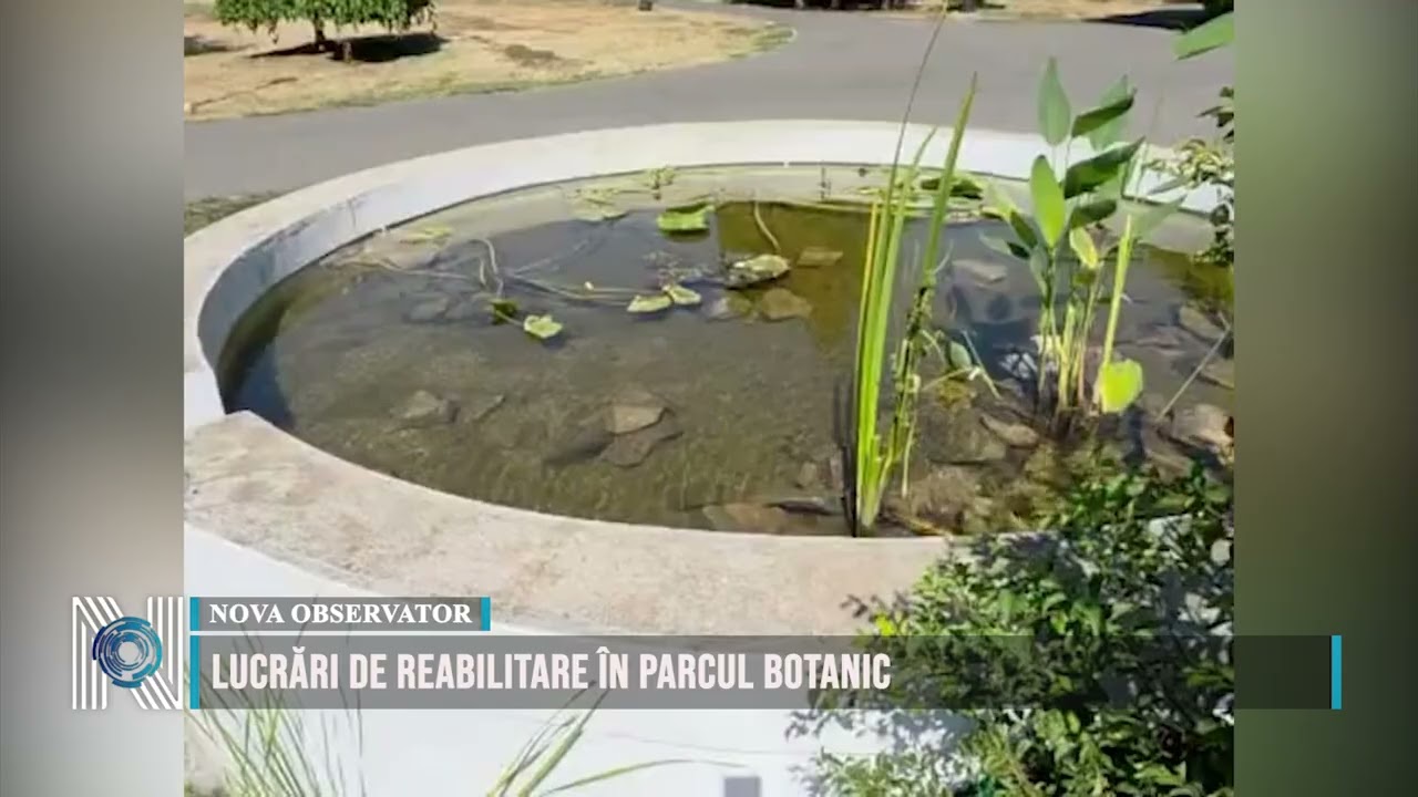 Lucrări de reabilitare în Parcul Botanic