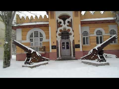 Что происходит с лебедями в Крыму. Голод не тётка...лебеди и чайки едят с рук.