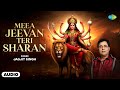 मेरा जीवन तेरी शरण Mera Jeevan Teri Sharan Jagjit Singh Mata Rano Song
