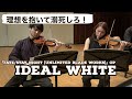 TVアニメ Fate Stay Night Unlimited Blade Works OP Ideal White