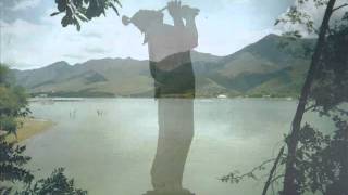 REALIDAD O SUEÑO... JARABE DE PALO