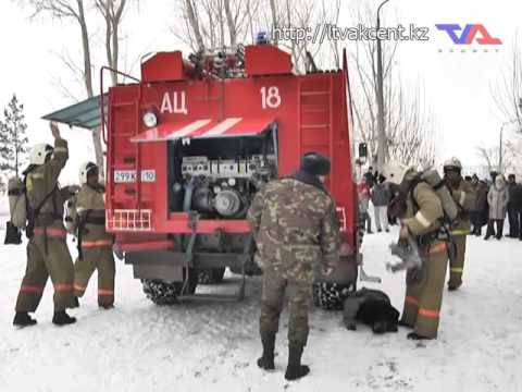 Выпуск программы «День» от 2 марта 2016г.