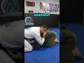 Difference Between The ANACONDA CHOKE And D ARCE CHOKE In Jiu Jitsu