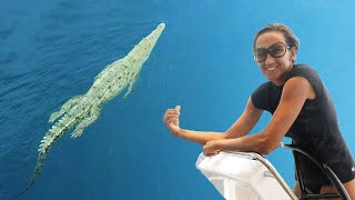 ROGUES & CROCODILES - Sailing Tranquilo Around the World | Ep.75