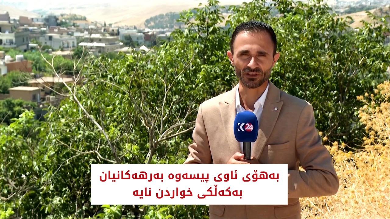 ڤیدیۆ | بەھۆی ئاوی پیسەوە بەرھەکانیان بەکەڵکی خواردن نایە