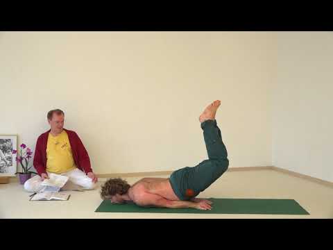 1773 Viparita Shalabhasana