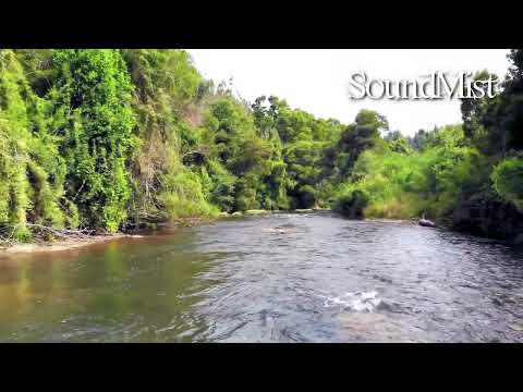 Fly With Me - River in 5.1 Surround Sound