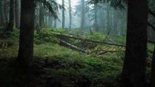 I am Tuan , Cruachan