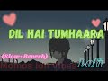Dil Hai Tumhaara Lofi Song Preity Arjun Jimmy Alka Kumar Sanu Udit MomosLofiVibes