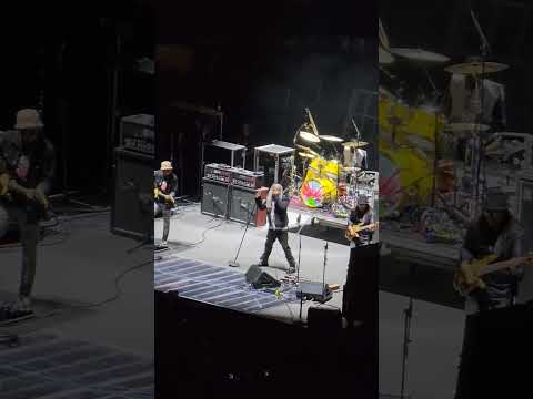 Thumbnail for Living Colour: Ignorance Is Bliss MSG 6/23/23 #classicrock #concert #livingcolour #summerconcert by Concert