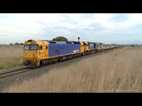 7736V Pacific National Grain Train With BL31 XR559 BL26  (26/4/2022) - PoathTV Australian Railways