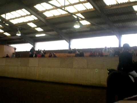 TH.Kreisjugendspiele Oberpörlitz 2010 Dressurwettbewerb Abteilung ( N 7, N 22, N3, N 19)