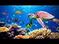 Beautiful Relaxing Music - Stop Overthinking, Stress Relief Music, Sleep Music, Calming Music #22 DEFAULT Thumbnail