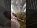 Caught My Roommate Sleep Talking W Carter Kench Shorts