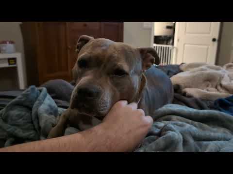 Sabine Things: 2/17/24