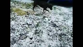 My babygirl and baby boy