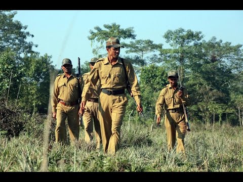 Secure the Lives of India's Guardians of the Wild